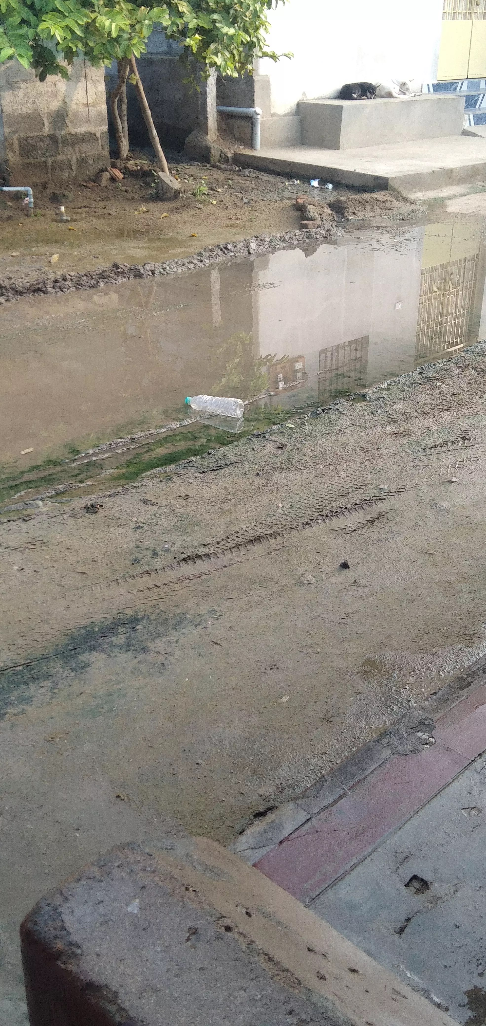 சாலையில் தேங்கும் மழைநீரால் அவதி