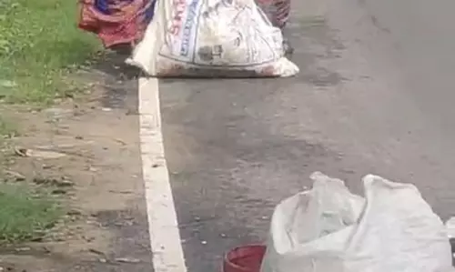 சாலையில் இழுத்துச்செல்லப்படும் குப்பைகள்