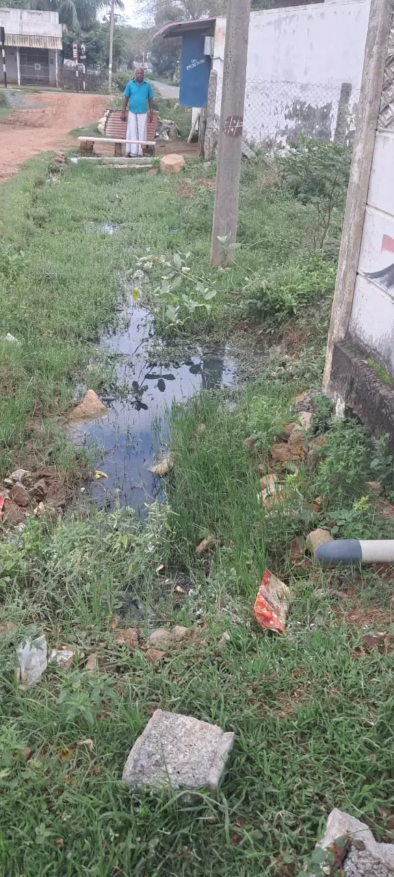 தேங்கி நிற்கும் கழிவுநீர் தேங்கி நிற்கும் கழிவுநீர்