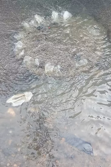 வீணாகும் குடிநீர் வீணாகும் குடிநீர்