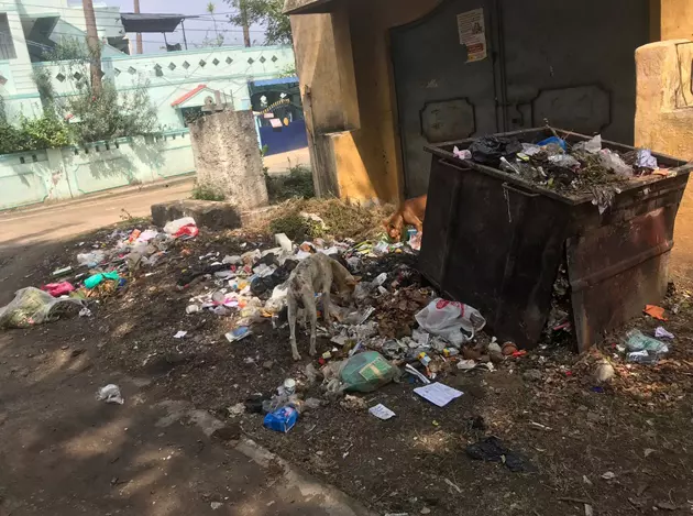 குப்பைகள் அகற்றப்படுமா? குப்பைகள் அகற்றப்படுமா?