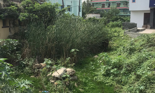 கால்வாய் தூர்வாரப்படுமா? கால்வாய் தூர்வாரப்படுமா?