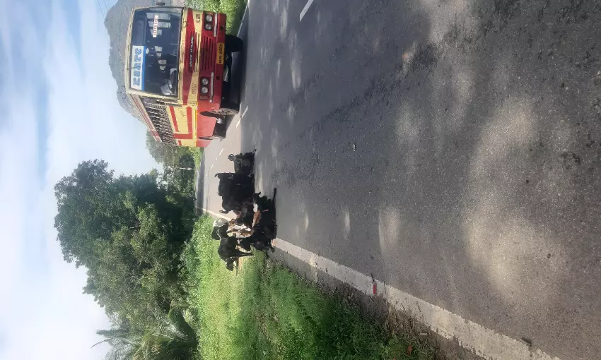 வாகன ஓட்டிகள் அவதி