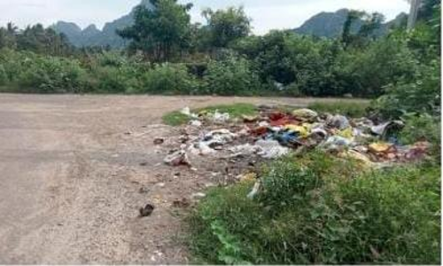 குப்பைகள் அகற்றப்படுமா?