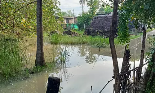 குடியிருப்பு பகுதியில் தேங்கும் மழைநீர் குடியிருப்பு பகுதியில் தேங்கும் மழைநீர்