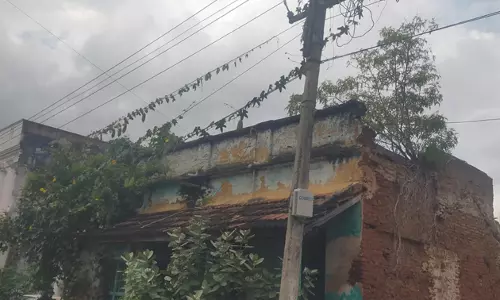 கொடிகள் படர்ந்த மின்கம்பம் கொடிகள் படர்ந்த மின்கம்பம்