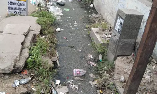 கால்வாயை தூர்வார நடவடிக்கை கால்வாயை தூர்வார நடவடிக்கை