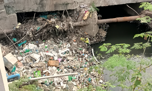 சுகாதார சீர்கேடு