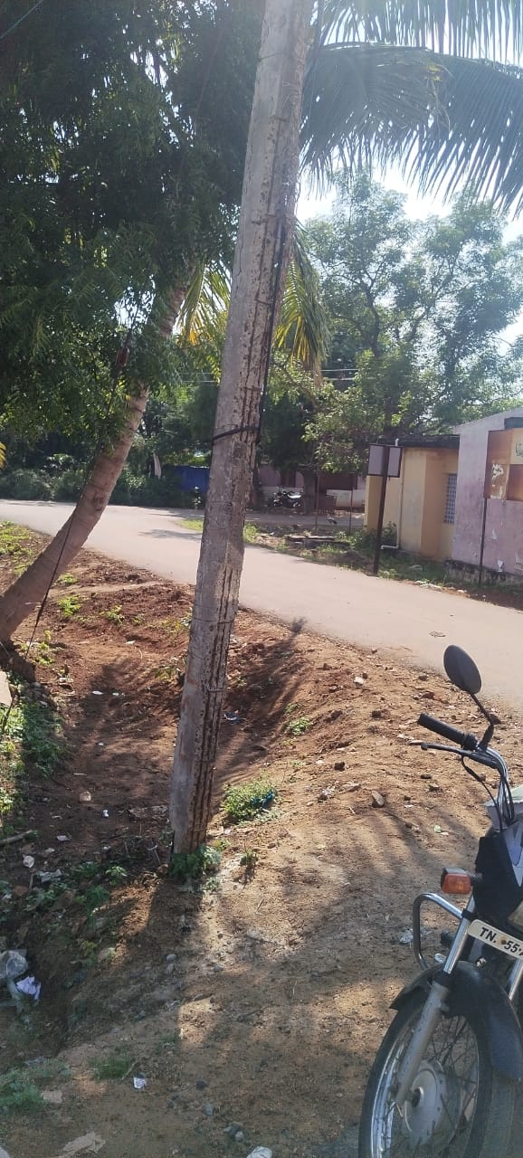 எலும்பு கூடான மின்கம்பம்