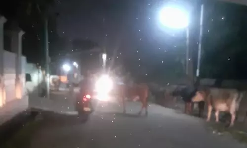 போக்குவரத்துக்கு இடையூறு