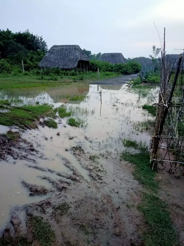 சாலை வசதி வேண்டும்