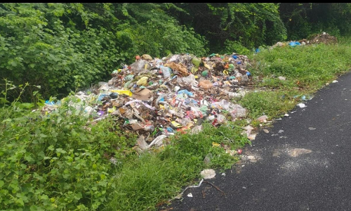 குப்பைகள் அகற்றப்படுமா? குப்பைகள் அகற்றப்படுமா?