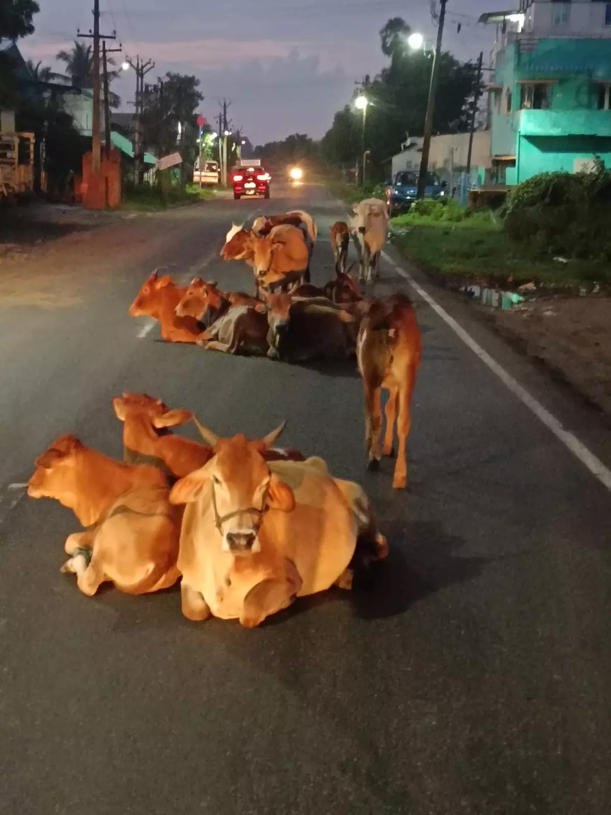 பொதுமக்கள் அச்சம்