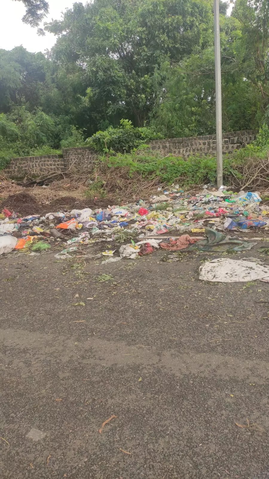 குப்பை அகற்றப்படுமா?