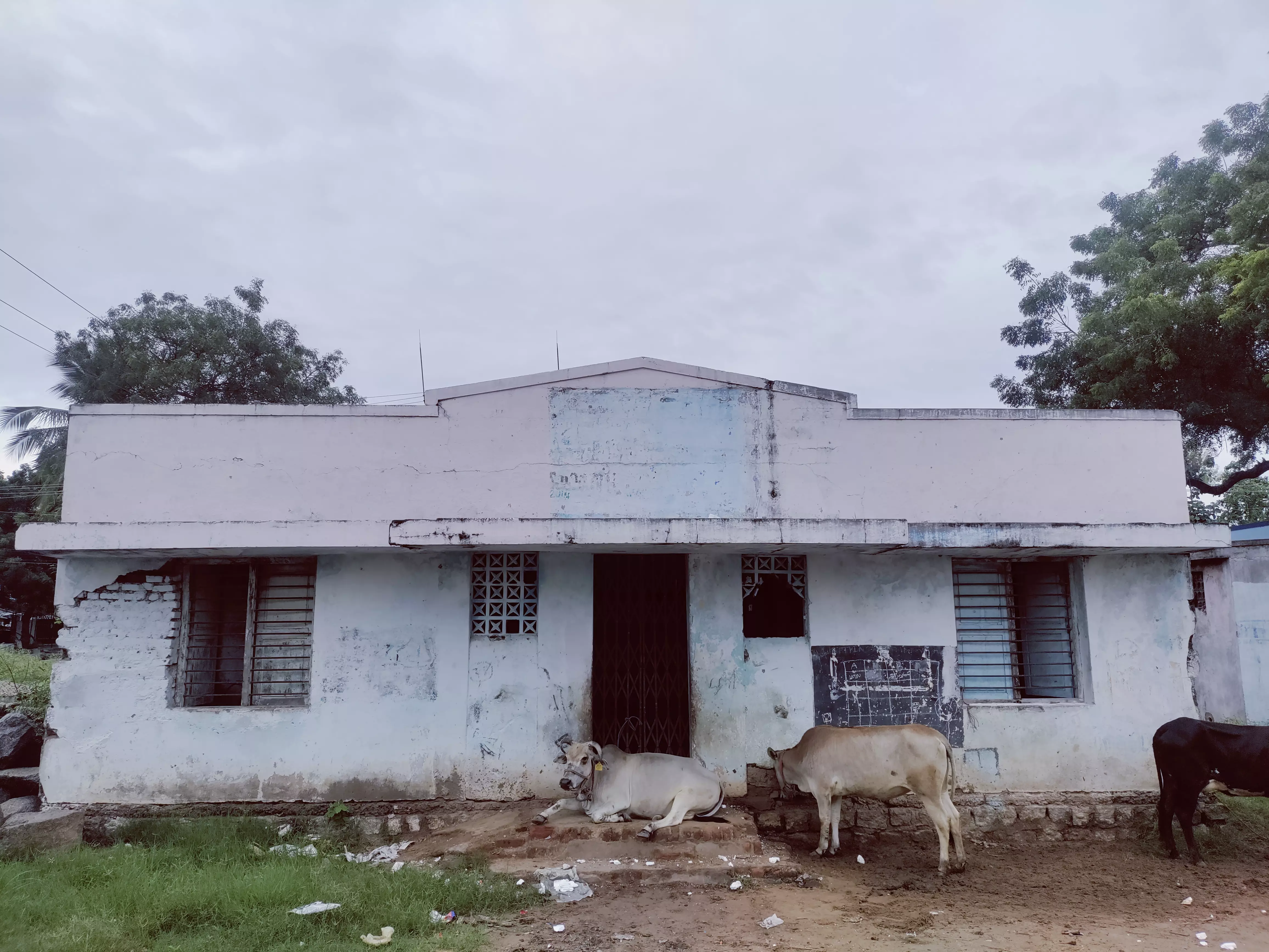 மாட்டுத்தொழுவமான கால்நடை ஆஸ்பத்திரி