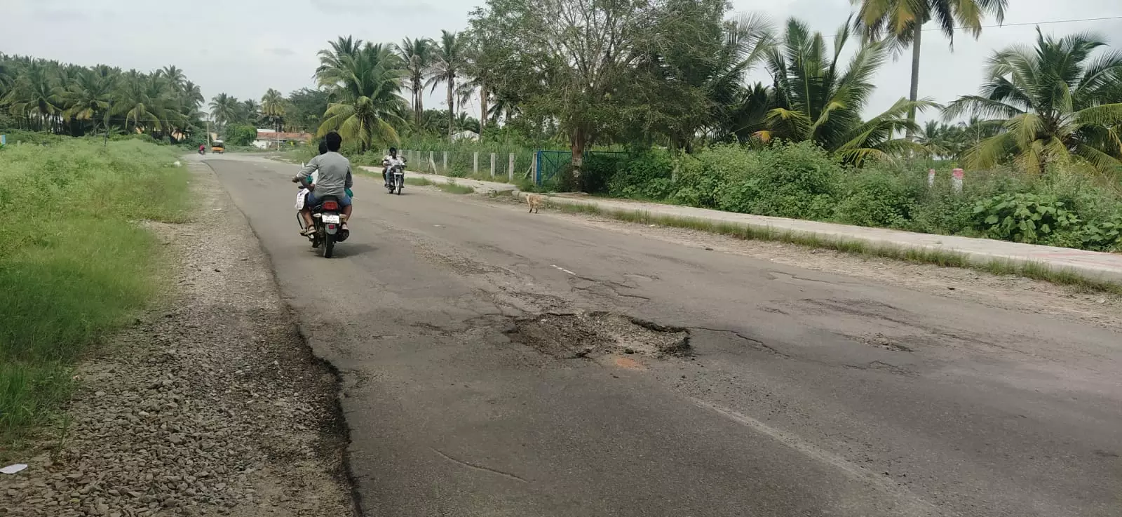 குண்டும் குழியுமான சாலை குண்டும் குழியுமான சாலை