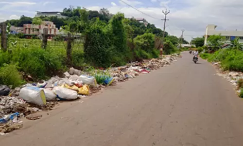 குவிந்து கிடக்கும் குப்பைகள் குவிந்து கிடக்கும் குப்பைகள்