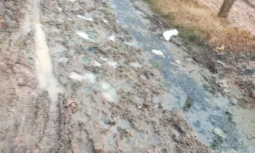 தெருவில் வழிந்தோடும் கழிவுநீர் தெருவில் வழிந்தோடும் கழிவுநீர்