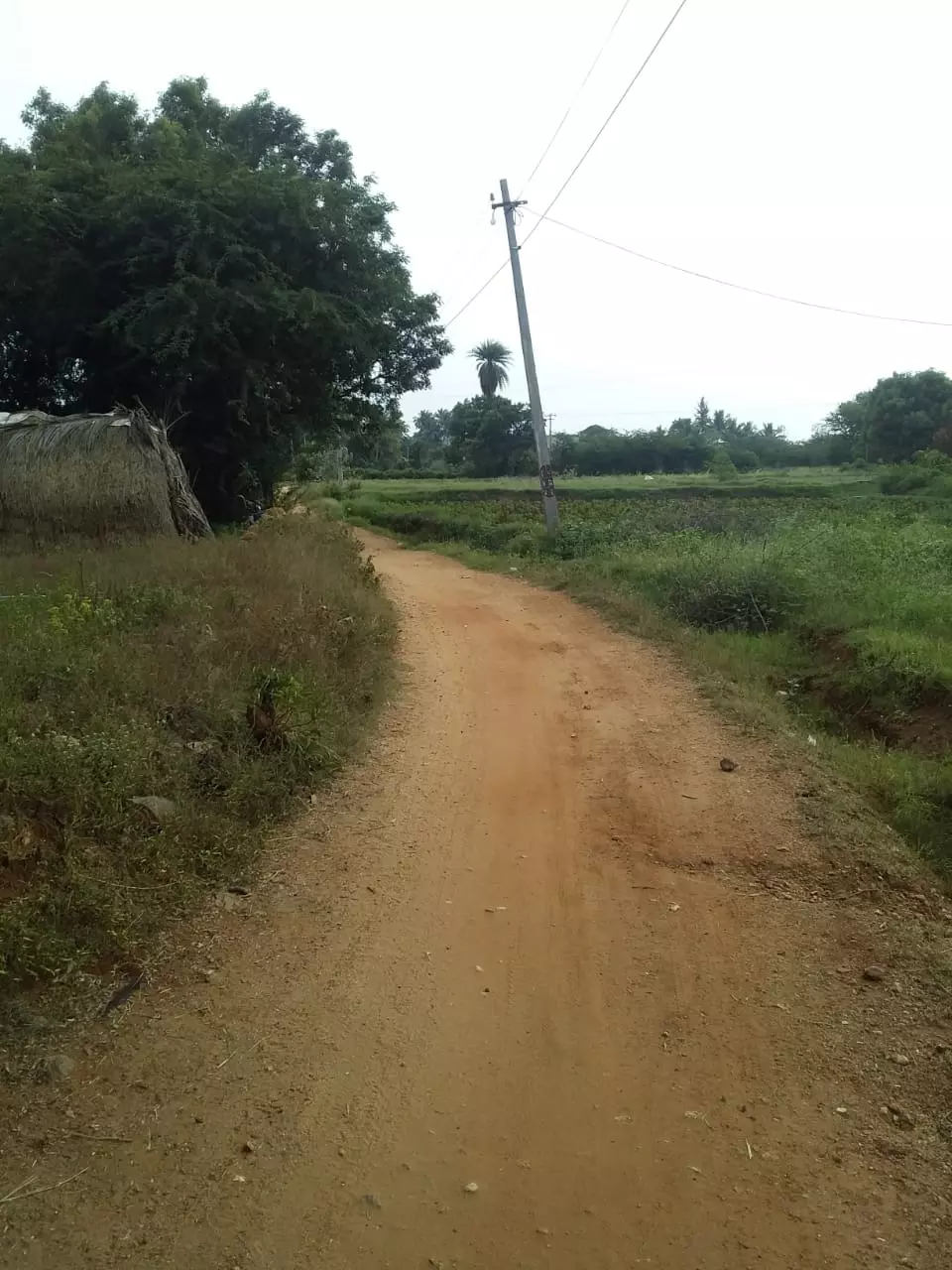 புதிய தார் சாலை அமைக்கப்படுமா? புதிய தார் சாலை அமைக்கப்படுமா?