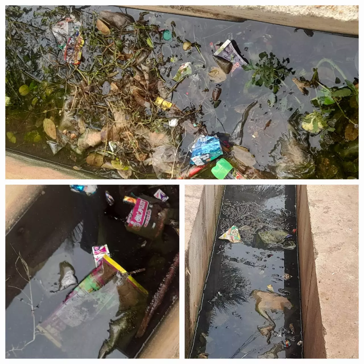 தேங்கி நிற்கும் கழிவுநீர்