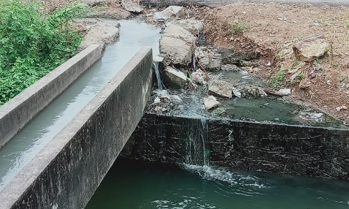 தொற்றுநோய் பரவும் அபாயம்