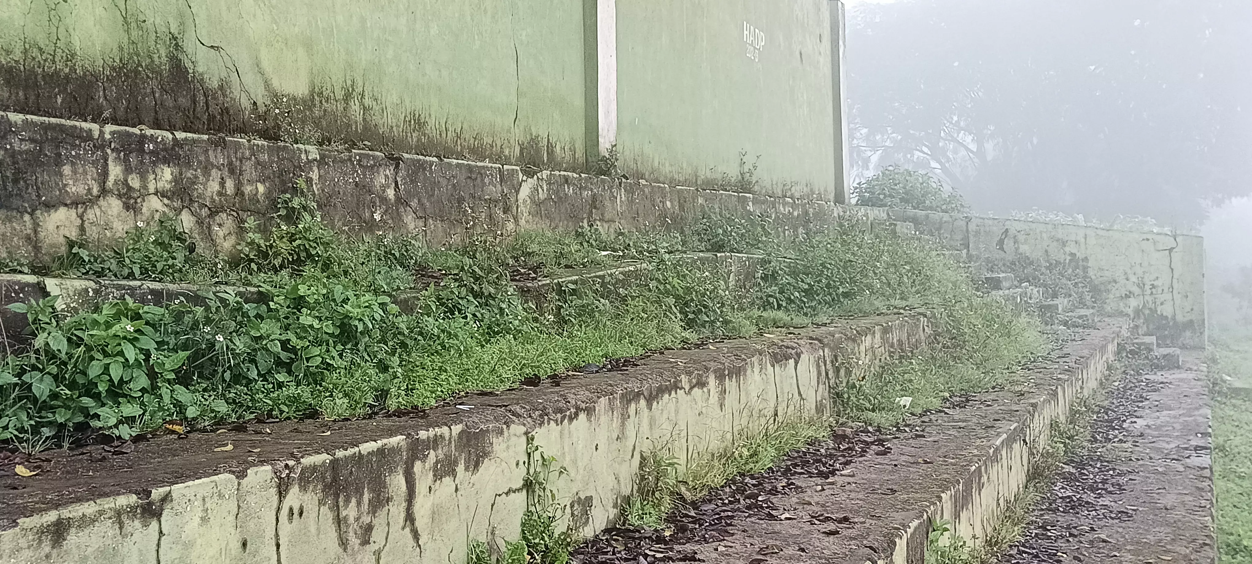 புதர் செடிகள் அகற்றப்படுமா?