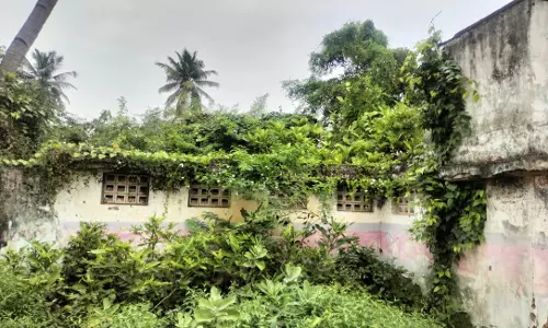 புதர்மண்டி கிடக்கும் கழிவறை கட்டிடம் புதர்மண்டி கிடக்கும் கழிவறை கட்டிடம்