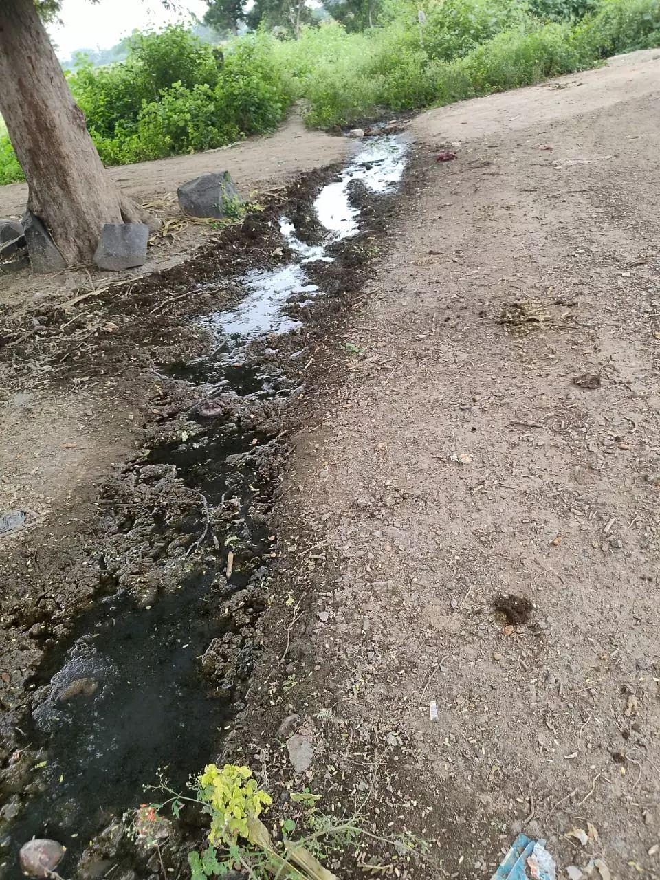 கழிவுநீர் வாய்க்கால் அமைக்கப்படுமா?