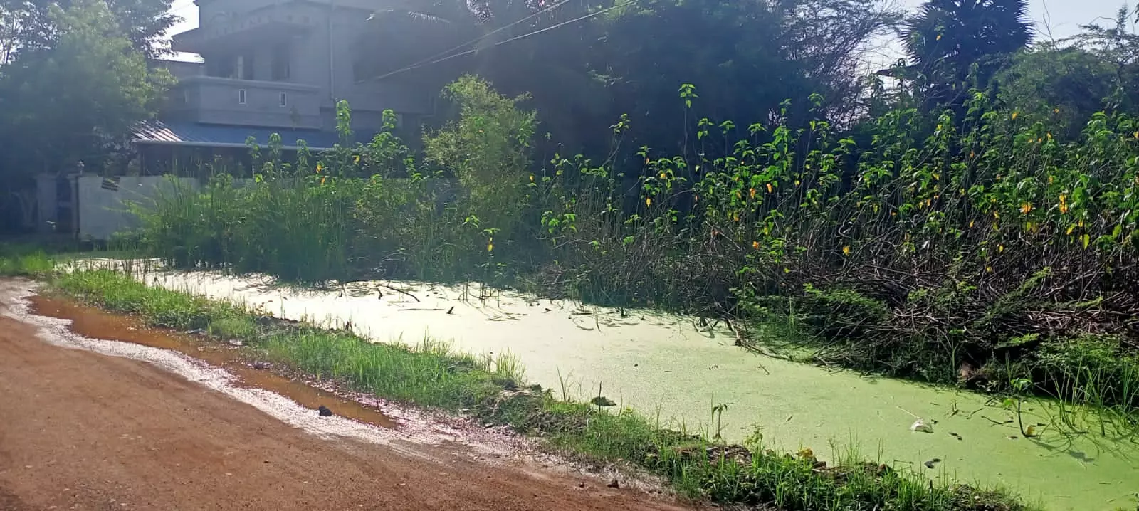 மழைநீர் வடிகால் தேவை