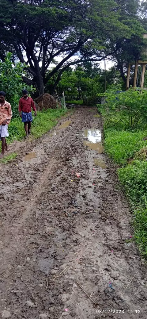 சேறும்,சகதியுமான சாலை