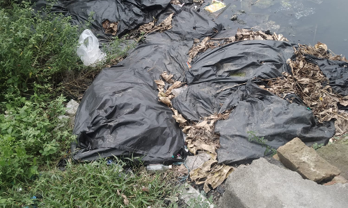 இறைச்சி கழிவுகளால் தூர்நாற்றம் இறைச்சி கழிவுகளால் தூர்நாற்றம்