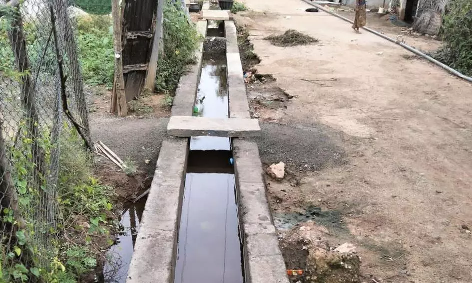 நோய் பரவும் அபாயம்