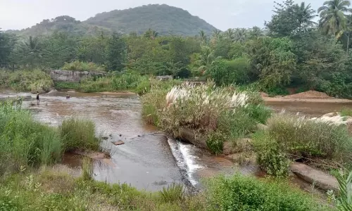 சிதிலமடைந்து வரும் தடுப்பணை சிதிலமடைந்து வரும் தடுப்பணை