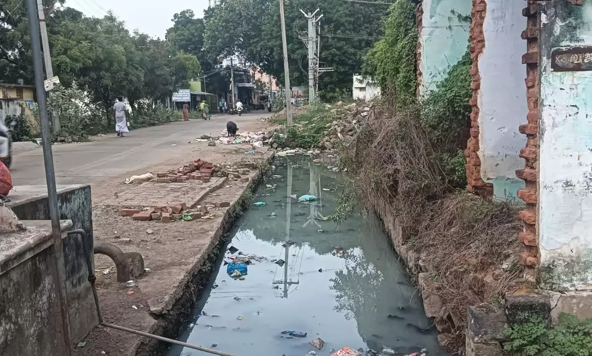 கழிவுநீா் கால்வாய் தூர்வாரப்படுமா? கழிவுநீா் கால்வாய் தூர்வாரப்படுமா?
