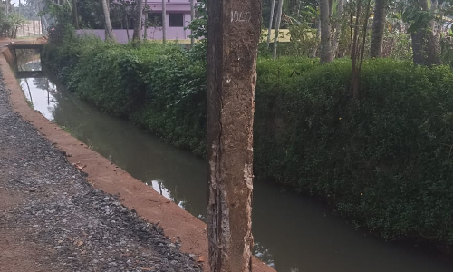 சேதமடைந்த மின்கம்பம்