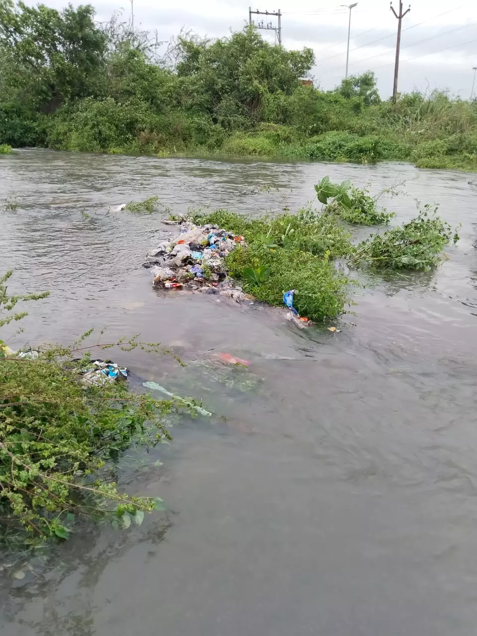 ஏரிகளில் வீசப்பட்ட குப்பைகள்