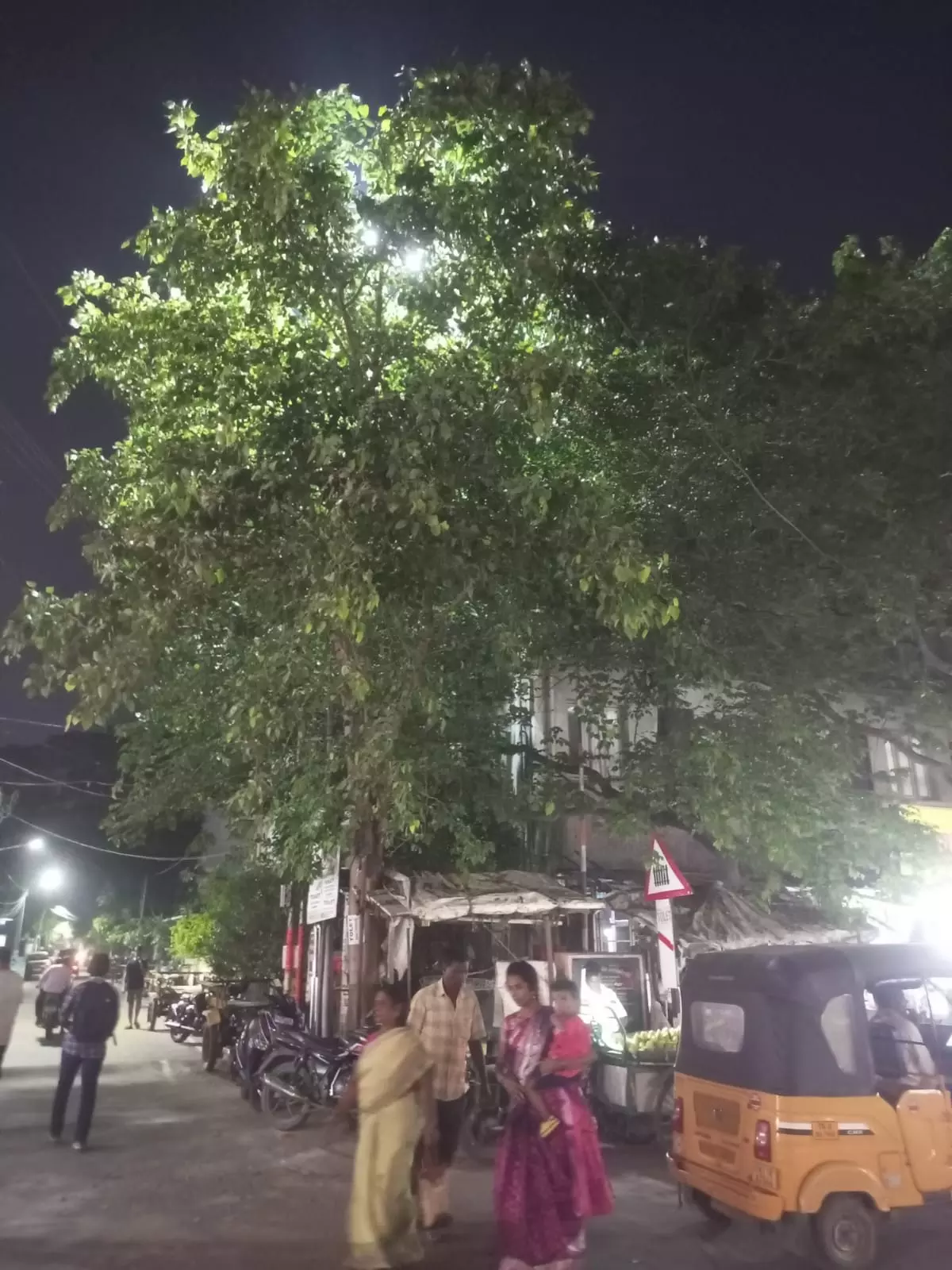 உயர் மின் கோபுர விளக்கு எங்கே?