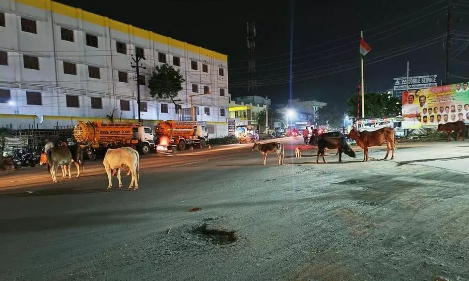 வாகன ஓட்டிகள் அவதி வாகன ஓட்டிகள் அவதி