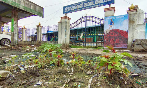 தோட்டமாக மாறிய கழிவுநீர் தோட்டமாக மாறிய கழிவுநீர்