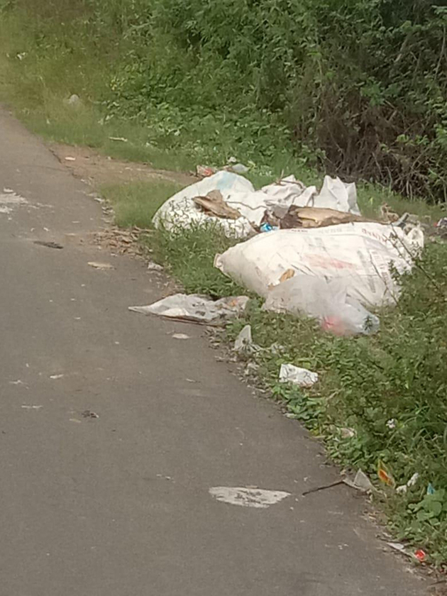 மீன், கோழி இறைச்சி கழிவுகளால் துர்நாற்றம் மீன், கோழி இறைச்சி கழிவுகளால் துர்நாற்றம்