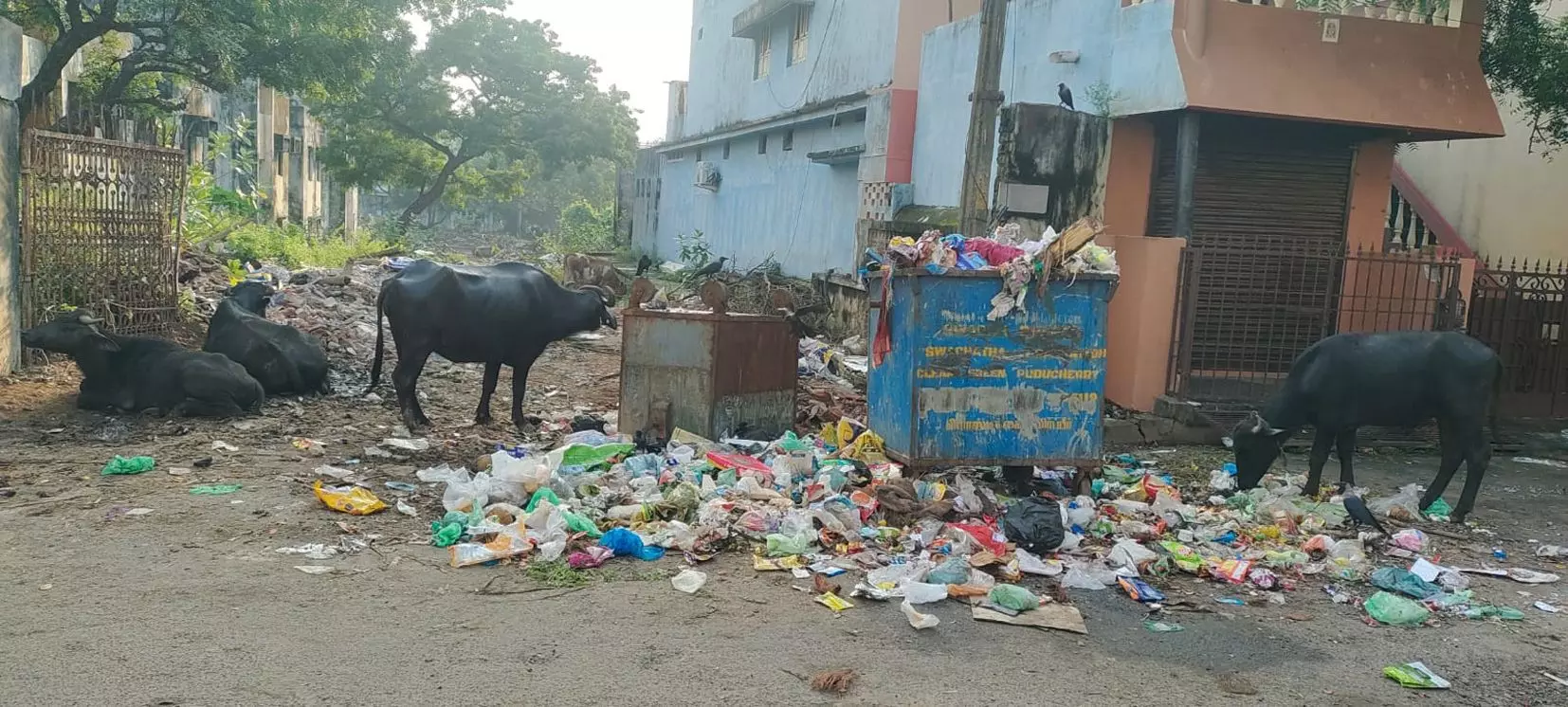 சுகாதார சீர்கேடு சுகாதார சீர்கேடு