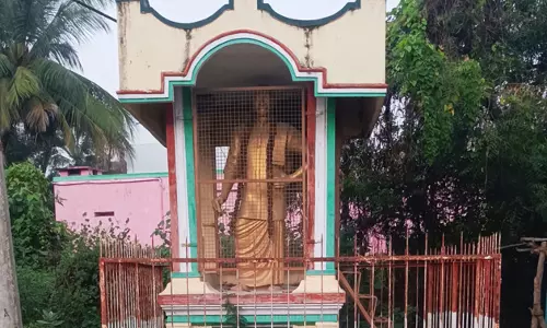 செடி, கொடிகளை அகற்ற வேண்டும்