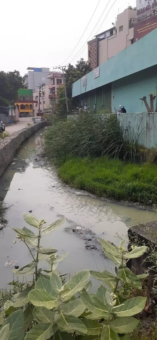 கழிவுநீர் கால்வாயை தூர்வார வேண்டும் கழிவுநீர் கால்வாயை தூர்வார வேண்டும்