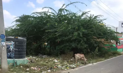 பயன்பாடில்லா குடிநீர் தொட்டி பயன்பாடில்லா குடிநீர் தொட்டி