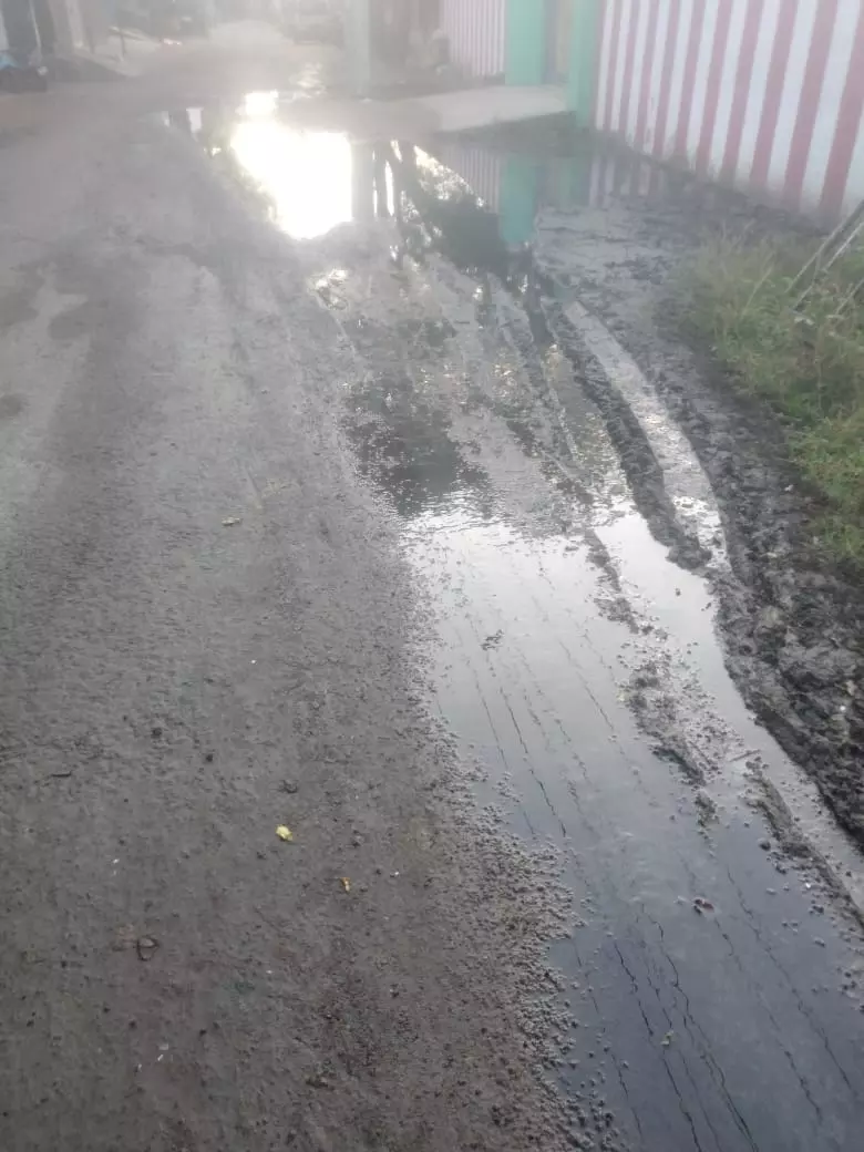 தொற்று நோய் அபாயம் தொற்று நோய் அபாயம்