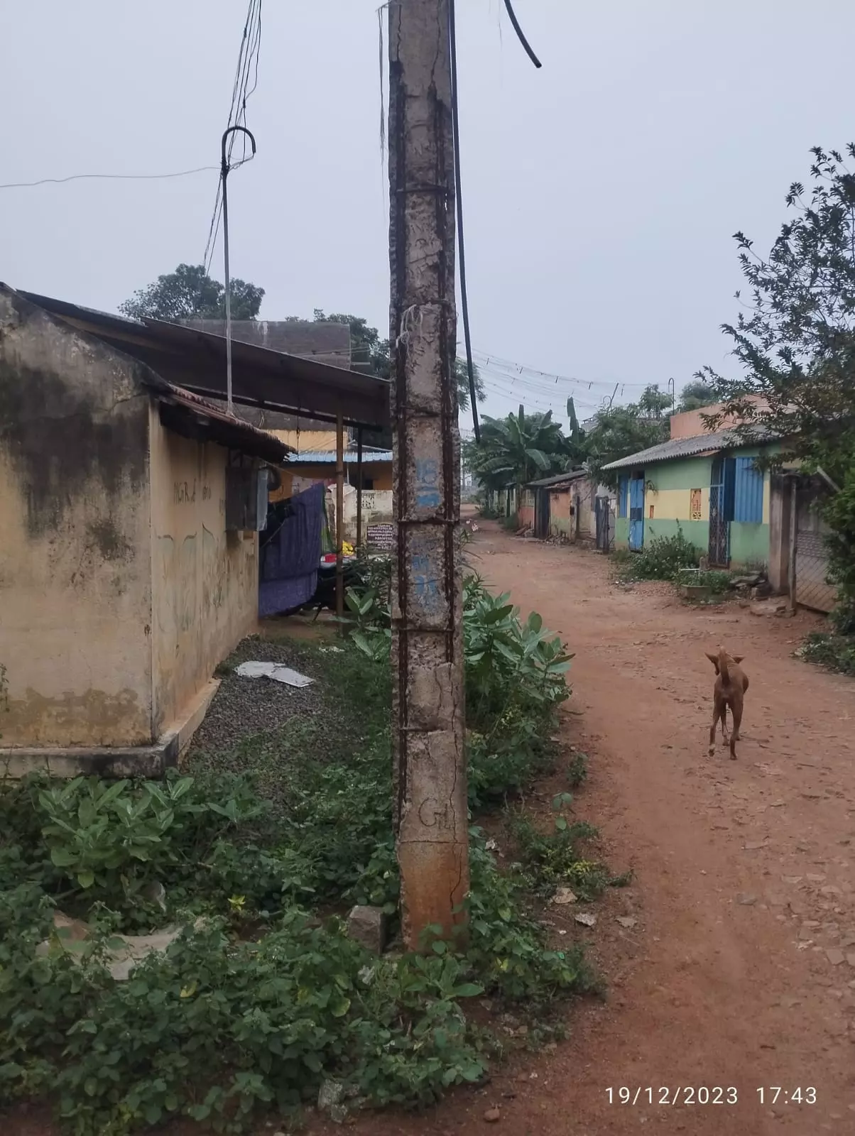 எலும்பு கூடான மின்கம்பம்