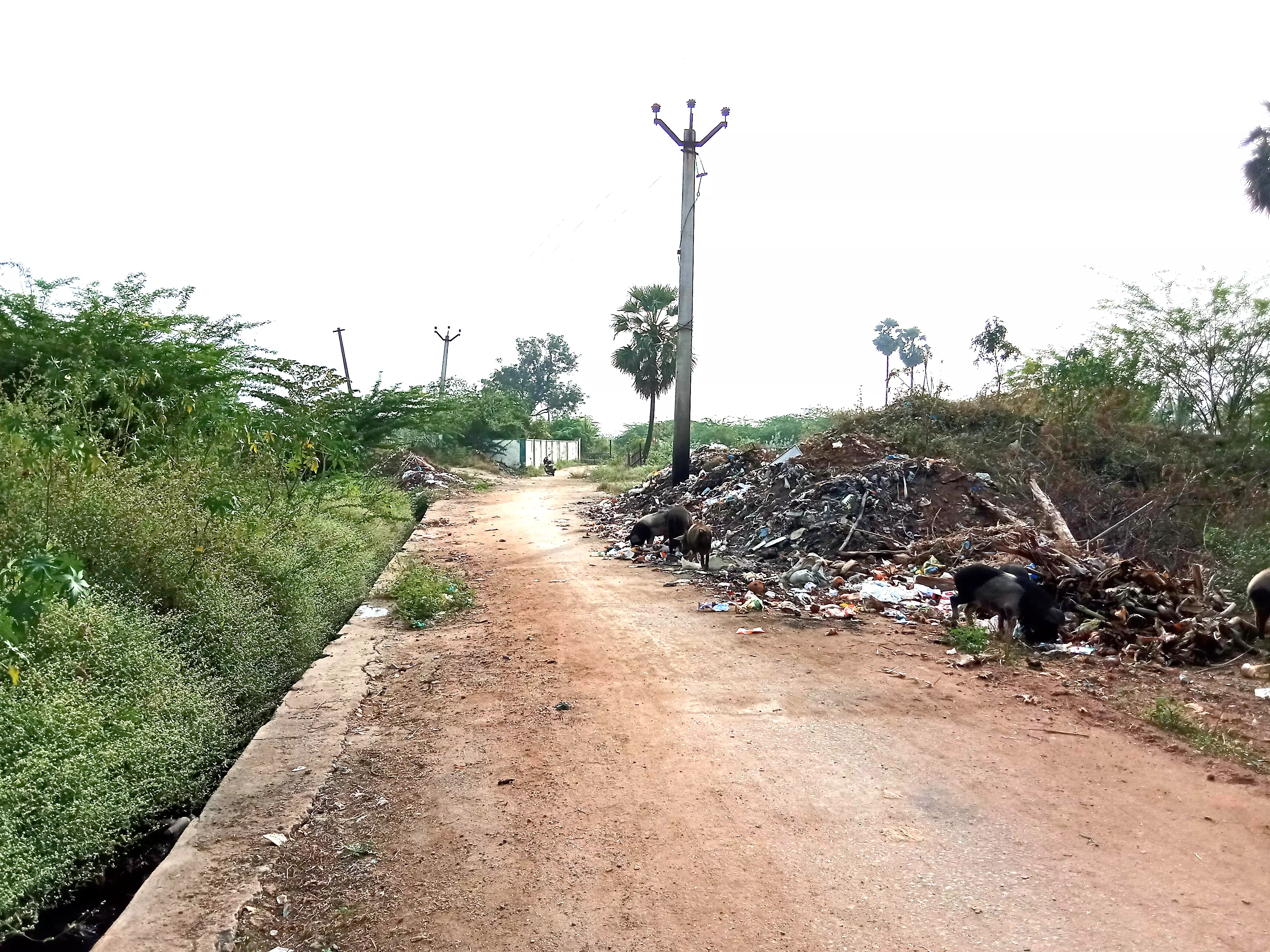 குப்பைகளால் சுகாதார சீர்கேடு