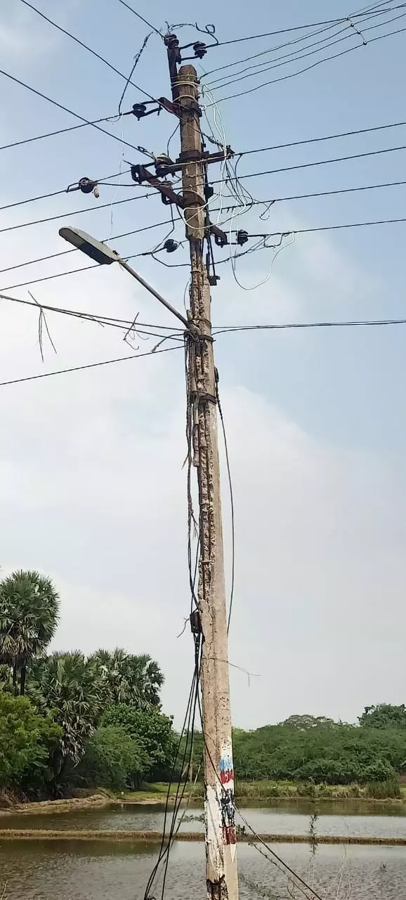 எலும்புக்கூடான மின்கம்பம் எலும்புக்கூடான மின்கம்பம்