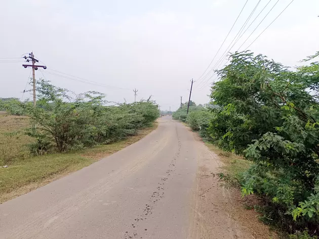 சாலையோர முட்புதர்களை அகற்ற வேண்டும்