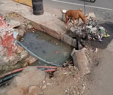 தேங்கி நிற்கும் கழிவுநீர்